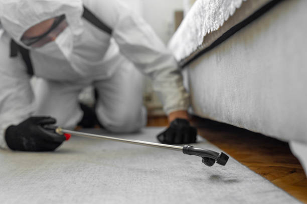 Professional Bed Bug Control technician working in Coweta, OK