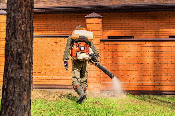 Trusted Ant Control service in Coweta, OK - Nex Pest Control